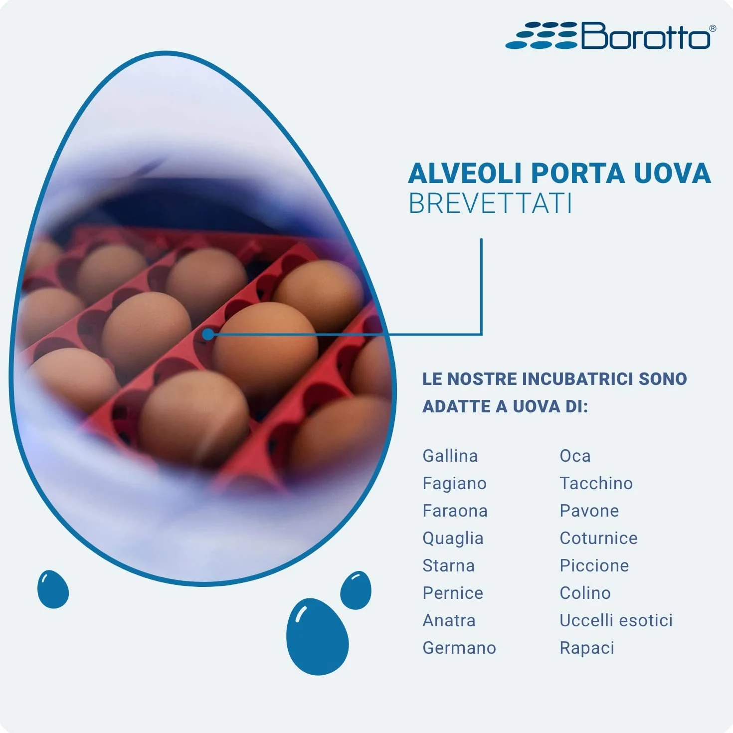Borotto Real 24 Expert automatyczny inkubator do jajek 24/96 jaj, mechanizm obracania, regulacja temperatury, nawilżacz Sirio