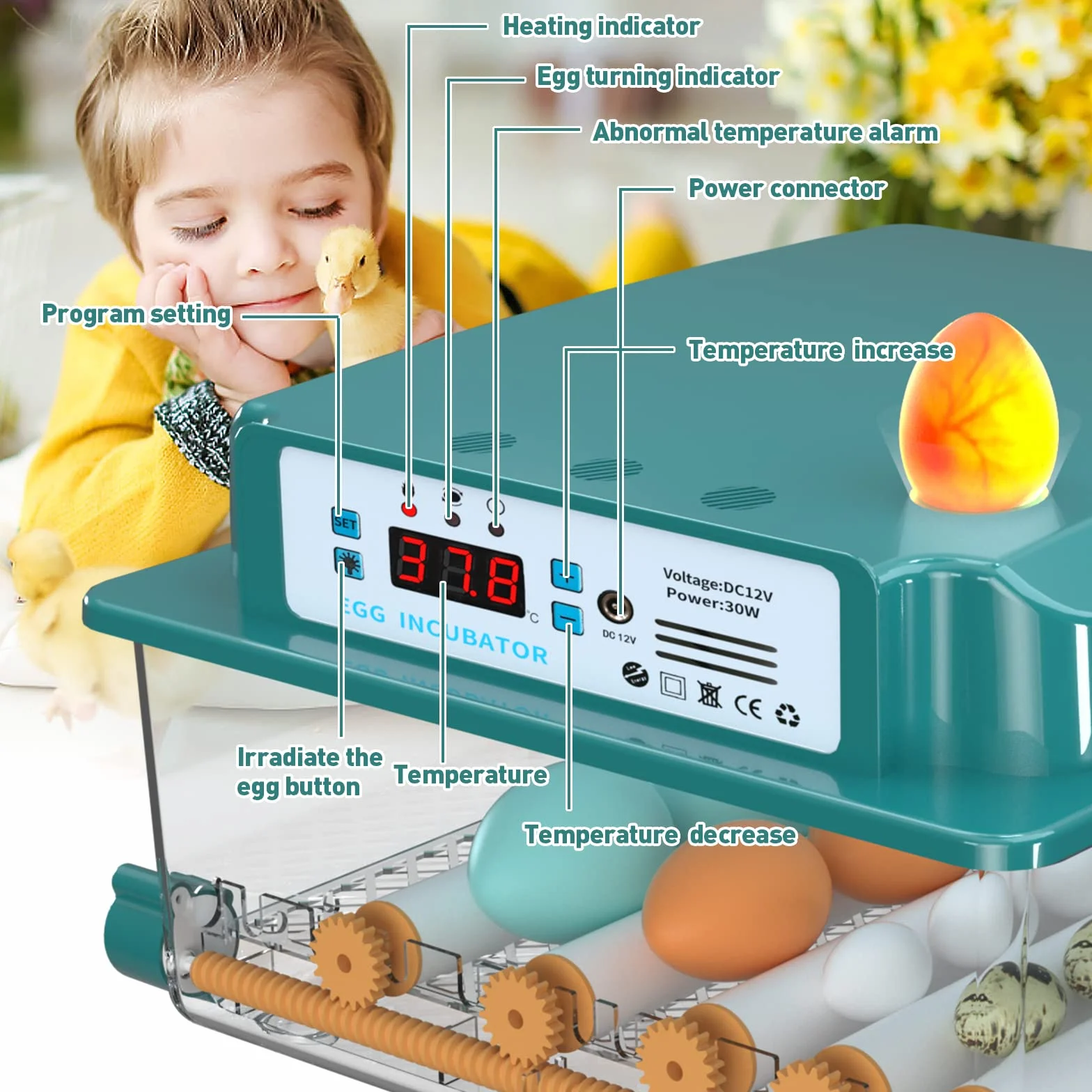 W pełni automatyczny inkubator do jajek, z automatycznym systemem rotacji i kontrolą temperatury, inkubator na 12-16 jaj (16)