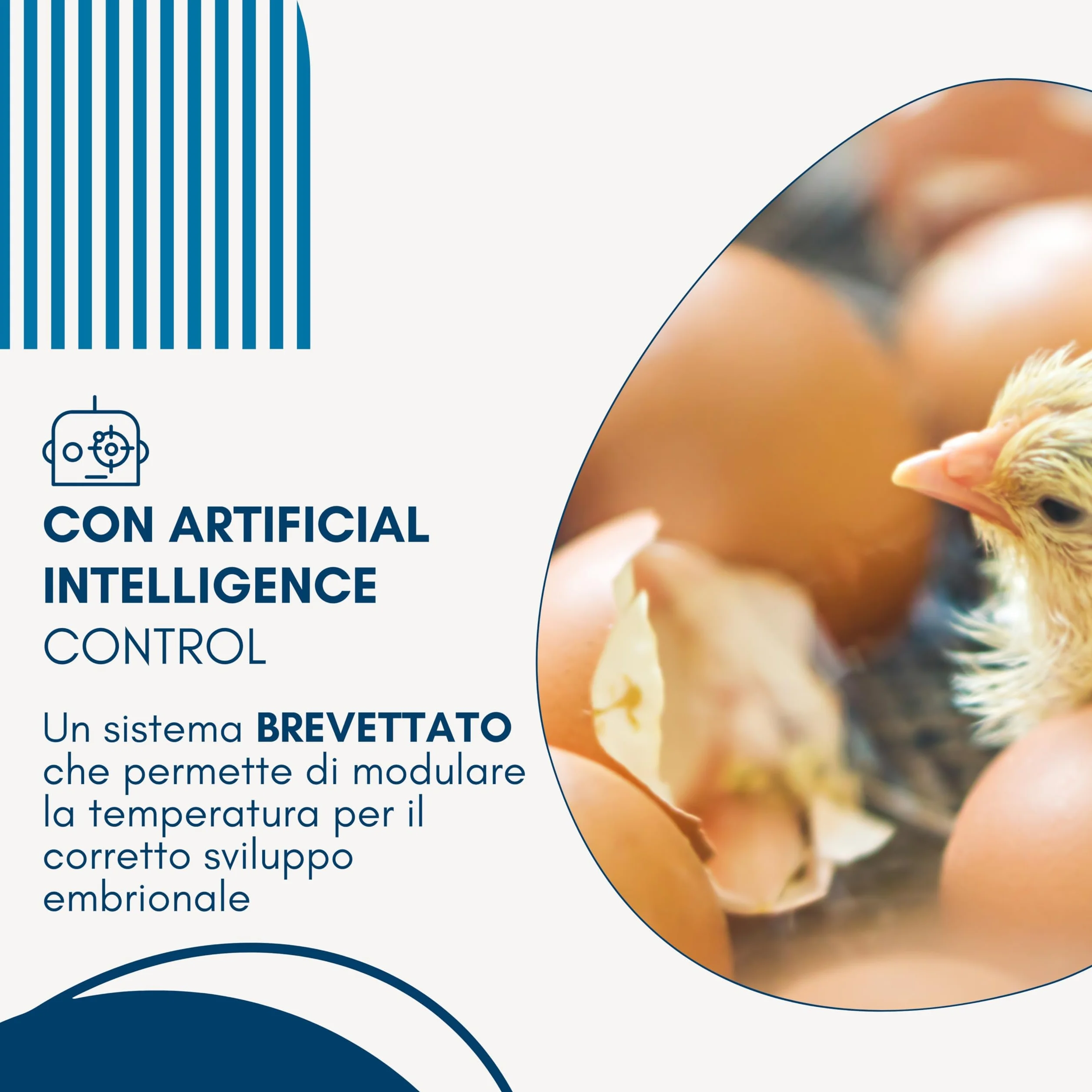 Borotto Real 49 Plus | w pełni automatyczny, profesjonalny automat do 49 lub 196 małych jajek, automatyczny mechanizm obracania jaj, regulacja temperatury, biomaster, antybakteryjny, wyprodukowano we