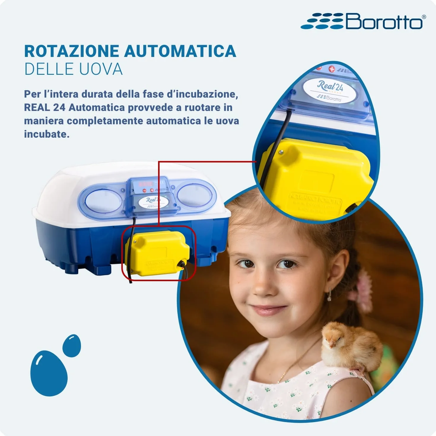 Borotto Real 24 Expert automatyczny inkubator do jajek 24/96 jaj, mechanizm obracania, regulacja temperatury, nawilżacz Sirio