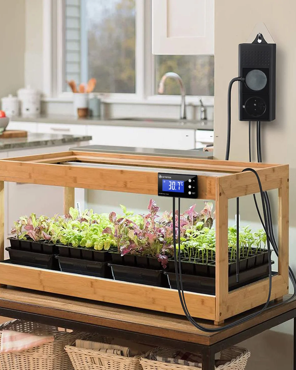KETOTEK Kontroler Temperatury Termostat Wtyczka Gniazdo Elektryczne Cyfrowy z 2m wodoodporna sonda 220V dla Akwarium Szklarnia Lodówka Przełącznik sterowania ogrzewaniem chłodzenie