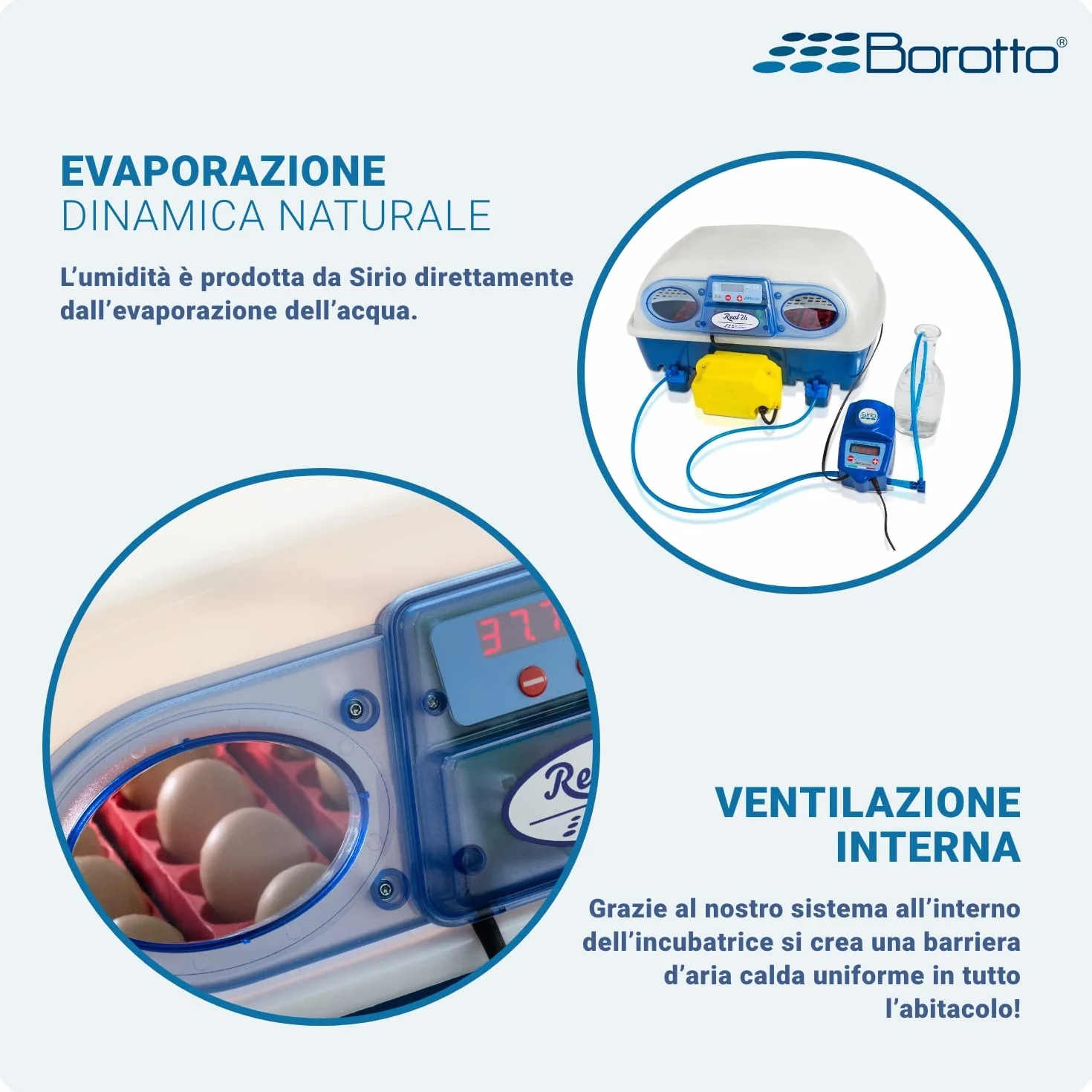 Borotto Real 24 Expert automatyczny inkubator do jajek 24/96 jaj, mechanizm obracania, regulacja temperatury, nawilżacz Sirio
