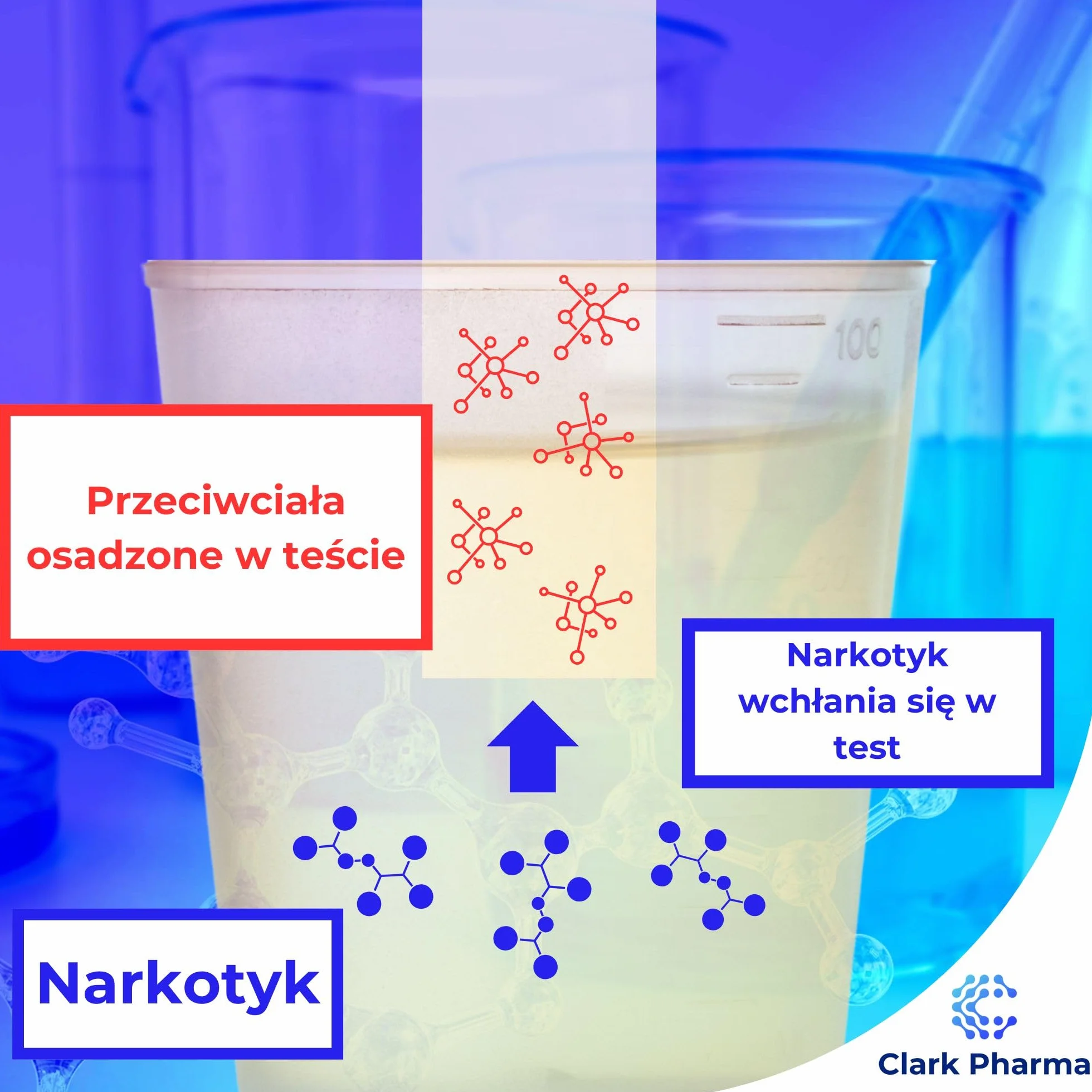 20 x Zestaw Testów na Vape | Test dla Palaczy | Zestaw Testów na Nikotynę | Test Moczu do Wykrywania Inhalacji Nikotyny (Kotyniny) | Zestaw Testów na Vaping