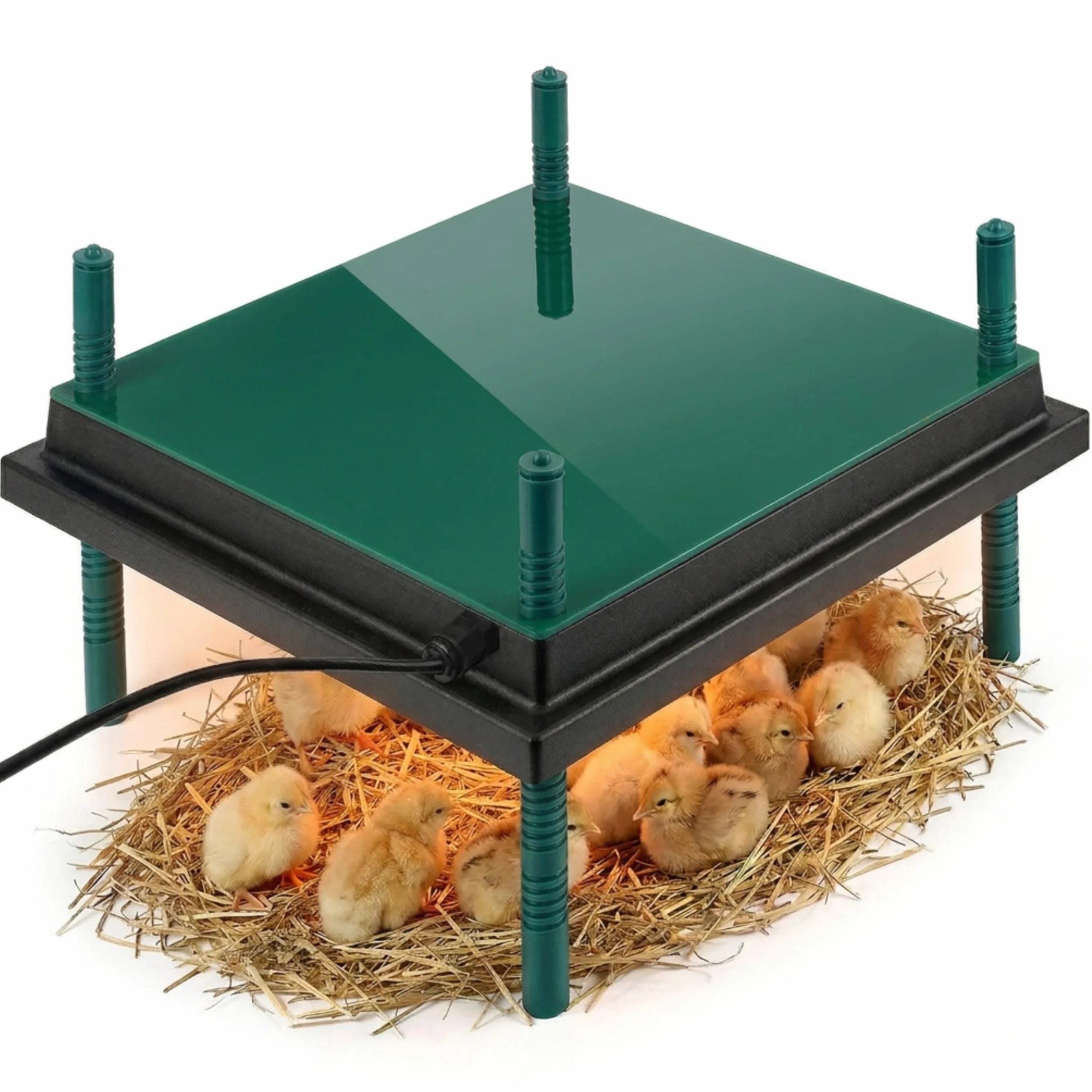 Dural’s® Płyta Grzewcza dla Piskląt 35x35cm (-80% Energii) z Pokrywą - Panel Grzewczy 30W (25-30 Piskląt) - Regulowana Wysokość 20cm - Delikatne Ciepło Antystresowe + E-Book