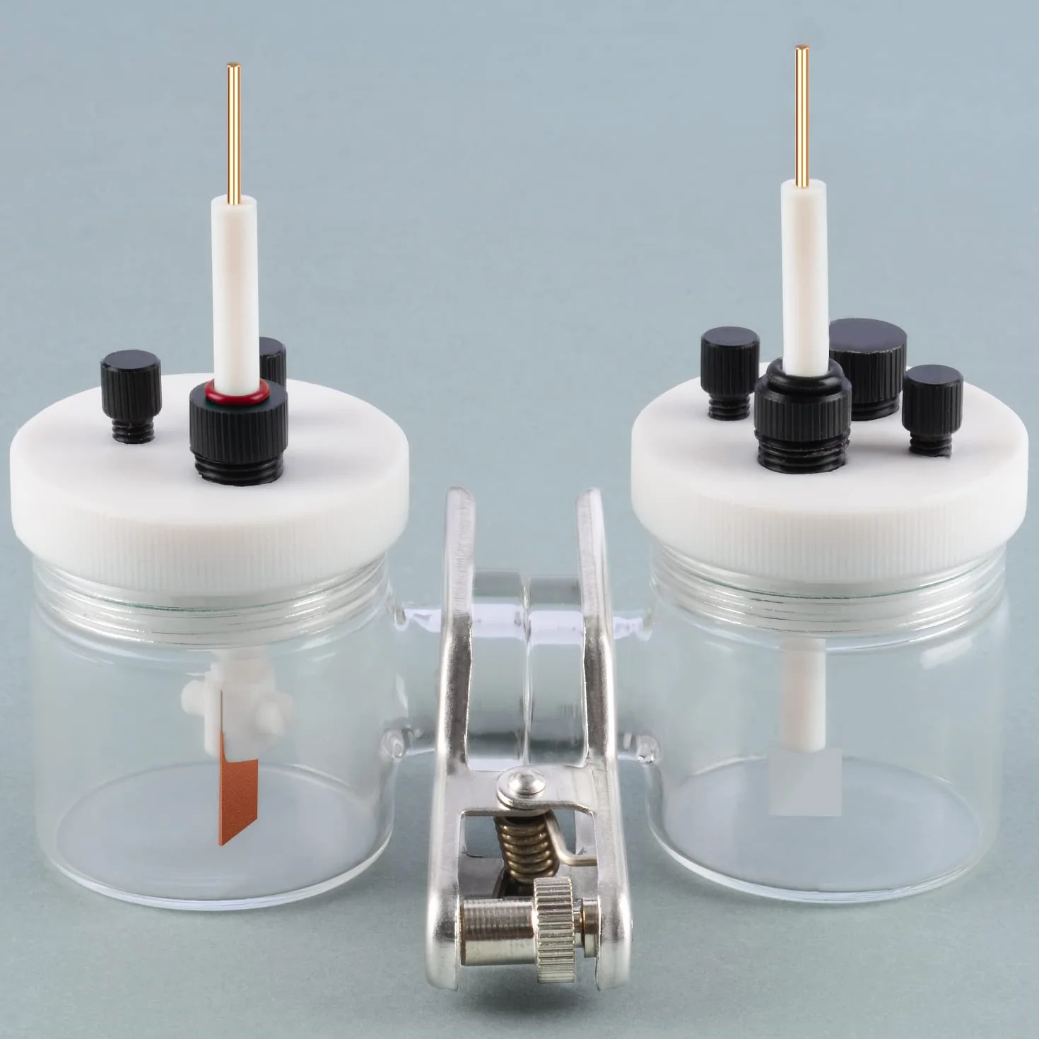 stonylab PTFE Platyna Uchwyt Elektrody, Różnego Przeznaczenia Wymienny Uchwyt Elektrody z Blachą Platyna 10 * 10 mm i Korpusem z PTFE
