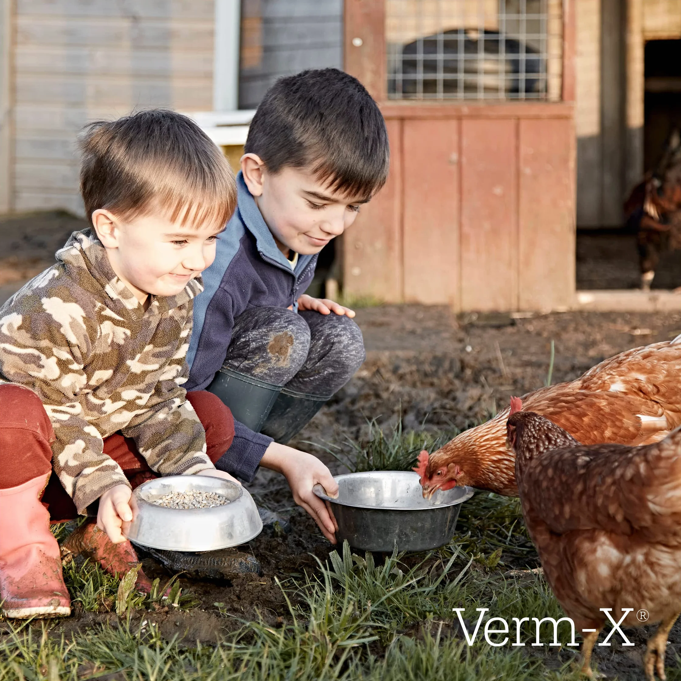 Verm-X Płyn do drobiu 250 ml Naturalna kontrola pasożytów