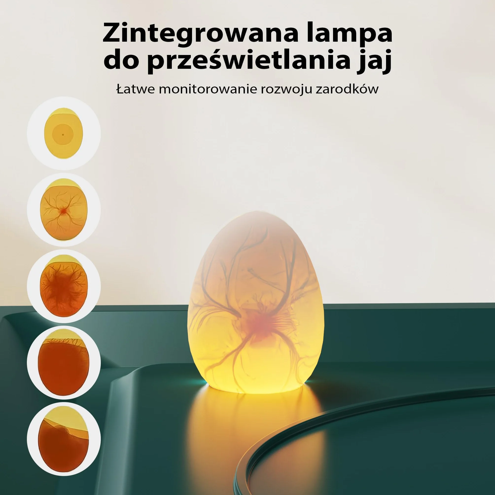 Fudajo Automatyczny inkubator na 48 jaj o mocy 80 W, wylęgarka z regulacją temperatury i wilgotności, wentylatorem obracaniem jajek