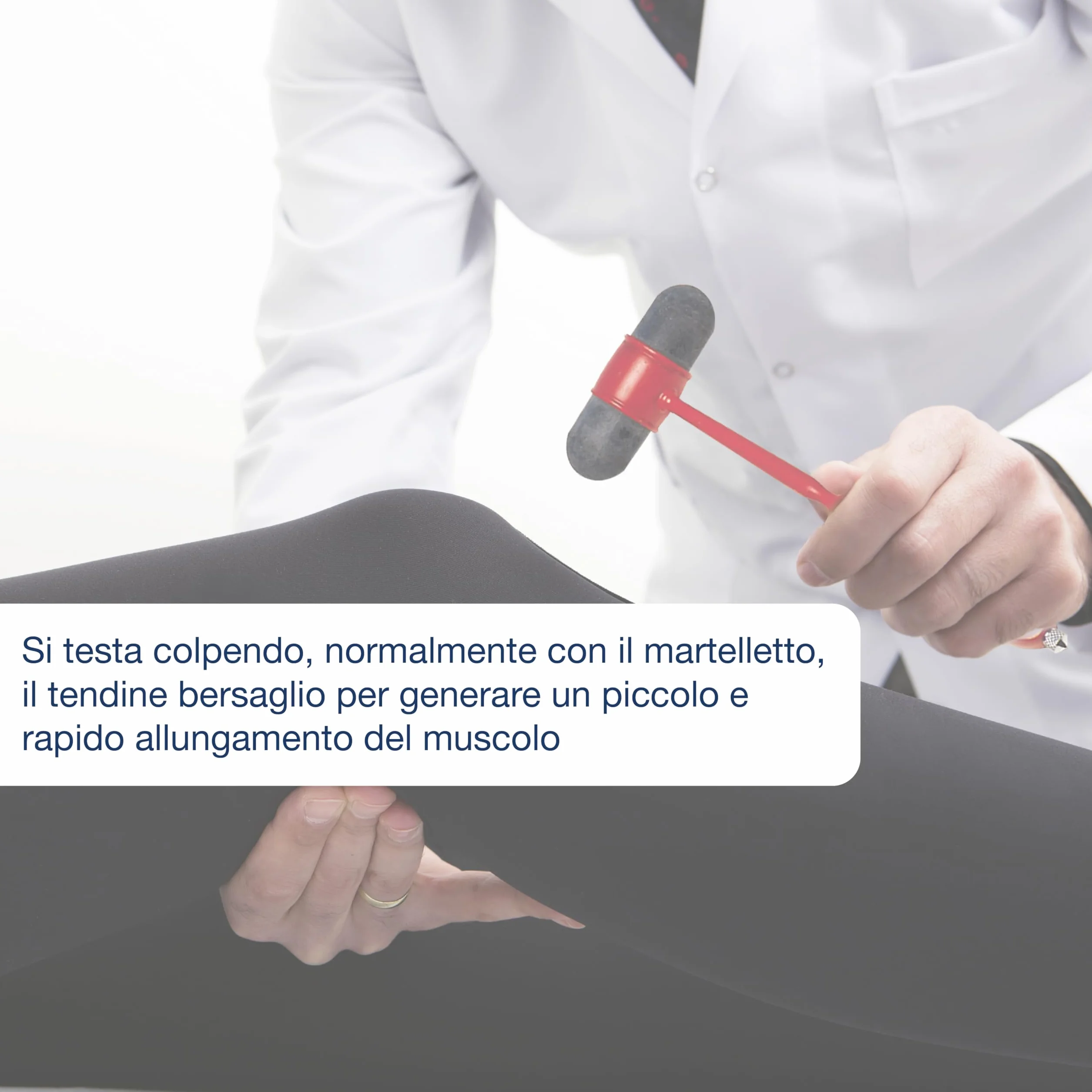 Gima 31255 młotek neurologiczny Dejerina