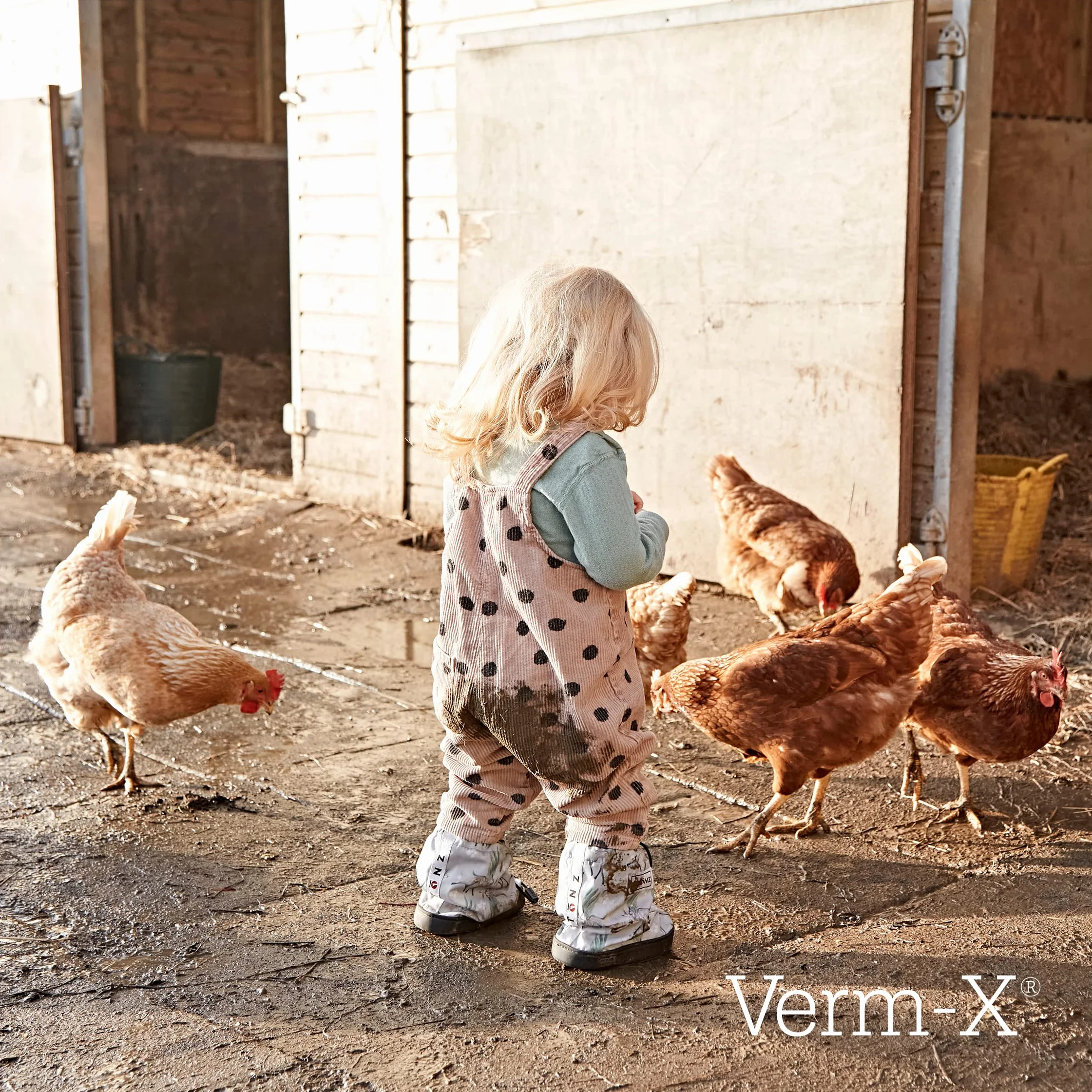 Verm-X Płyn do drobiu 250 ml Naturalna kontrola pasożytów