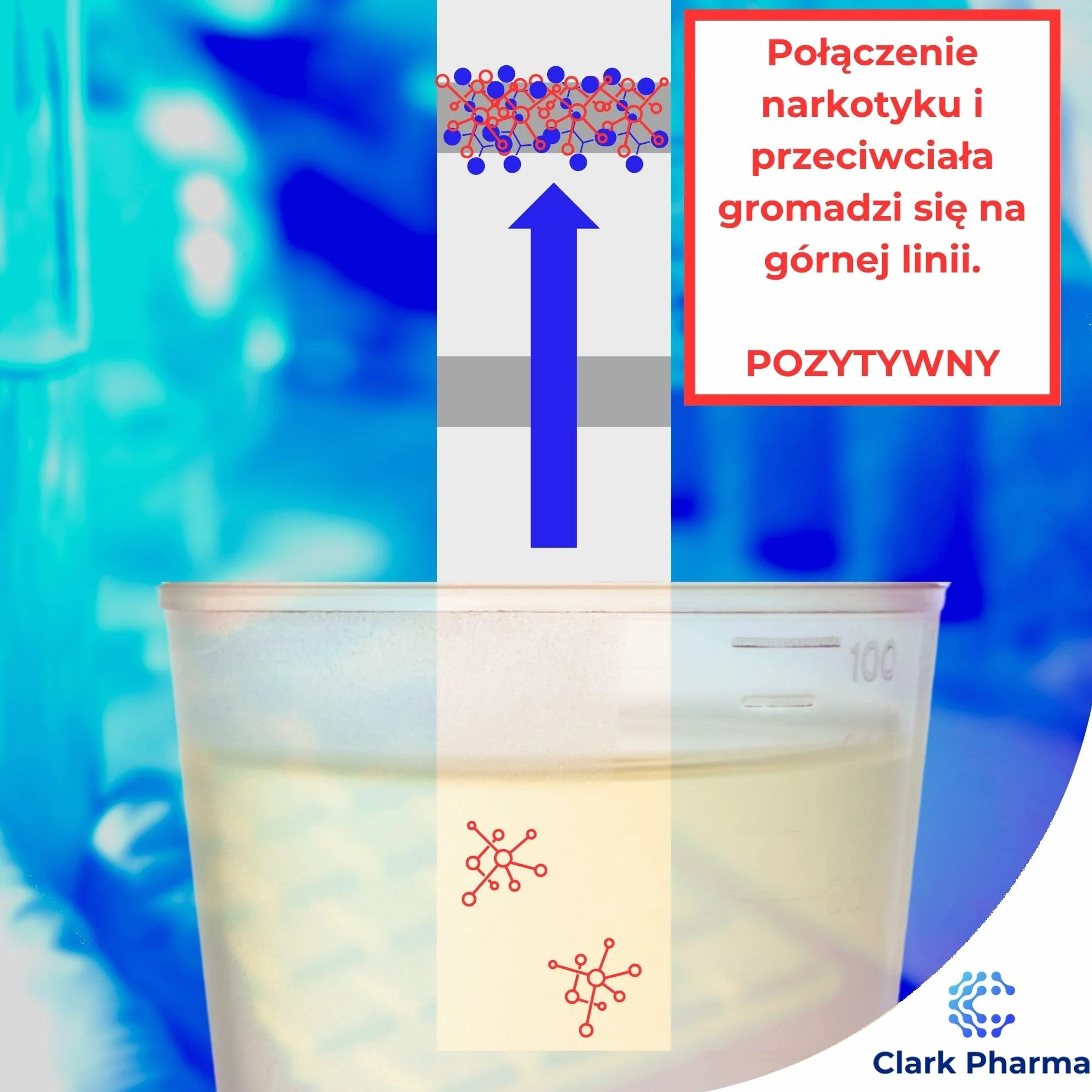 20 x Zestaw Testów na Vape | Test dla Palaczy | Zestaw Testów na Nikotynę | Test Moczu do Wykrywania Inhalacji Nikotyny (Kotyniny) | Zestaw Testów na Vaping